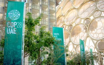 World Metereological Organization at COP28