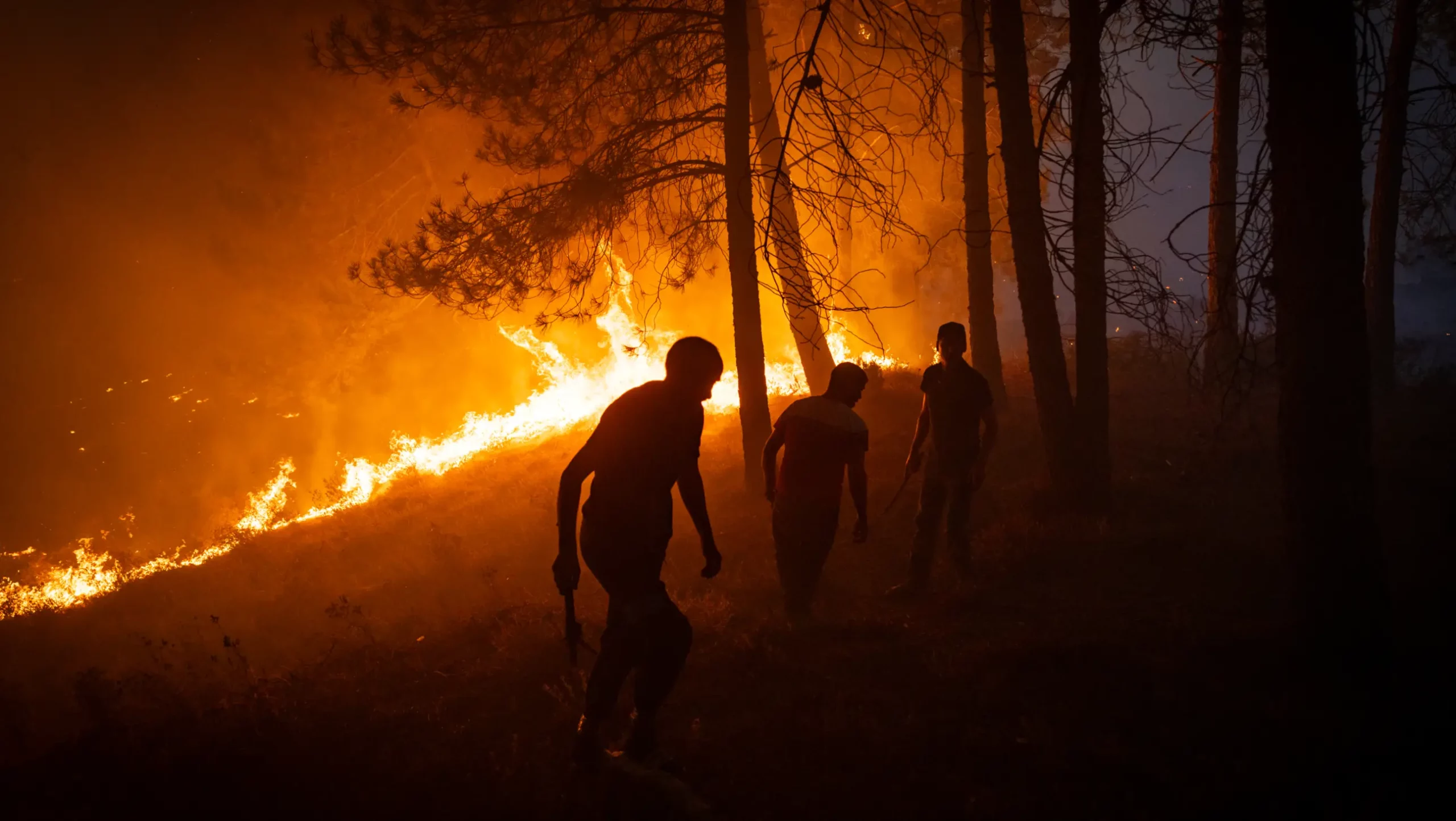 Forest fire in Morocco. Image: Arab Reporters for Investigative Journalism (ARIJ)