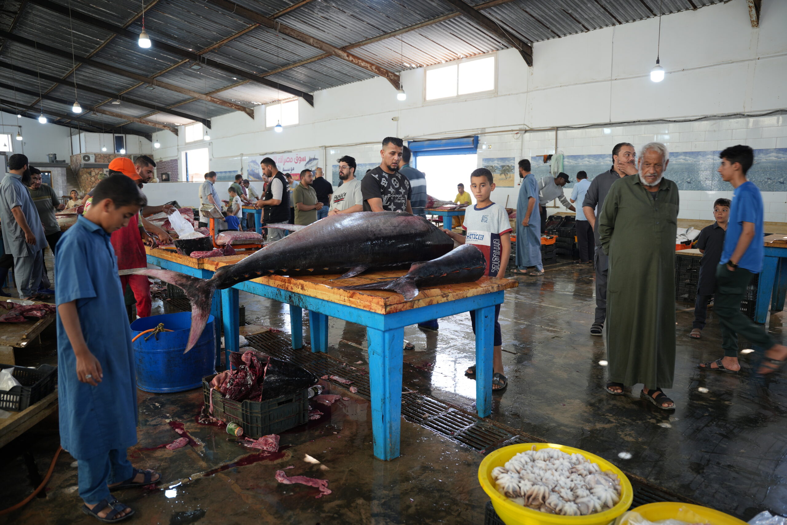 View of the Tripoli harbour market, Libya. Photo: Islam Alatrash.