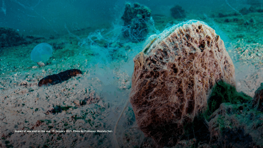 Join AMWAJ for the first Tabadul webinar of 2025 on World Water Day, exploring climate journalism through a climate justice lens. In collaboration with ARIJ and Marea Media, this session will feature expert insights, case studies, and practical tools for journalists. Don't miss the chance to engage with Ahmed Ashour, Sofia Turati, and Vittoria Torsello as they discuss fair and impactful climate reporting.